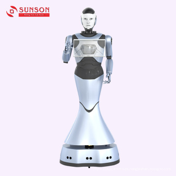 Consulta y guía de compras Robot humanoide Dreambot